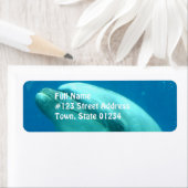 水中ドルフィン ラベル (インサイチュ)