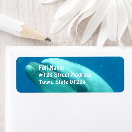 水中ドルフィン ラベル (インサイチュ)