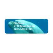 水中ドルフィン ラベル (正面)