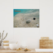 水中バハマ ポスター (キッチン)