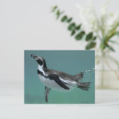 水中バレエはがき ポストカード (スタンド正面)