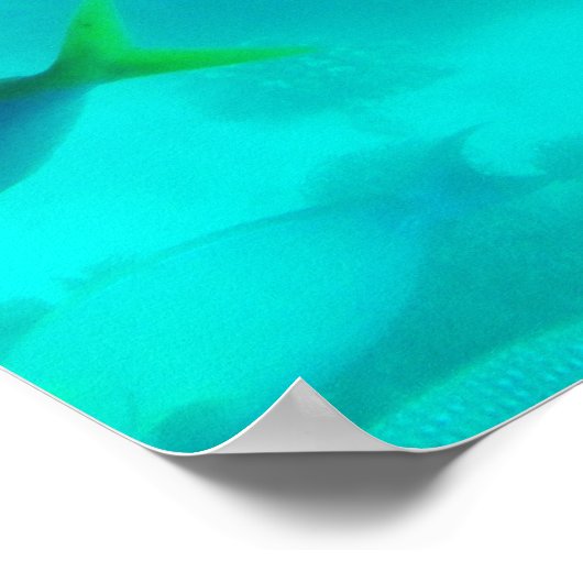 水中バ素晴らしリアリーフオーストラリア旅行 ポスター (角)