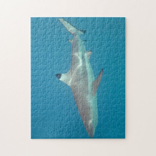 水中パズルを泳いでいる鮫 ジグソーパズル (縦)