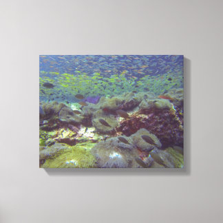 水中パラダイスシミラン諸島タイ キャンバスプリント