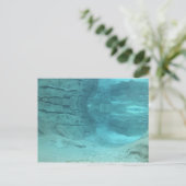 水中パラダイス ポストカード (スタンド正面)