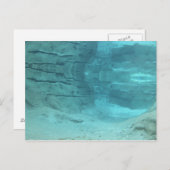 水中パラダイス ポストカード (正面/裏面)