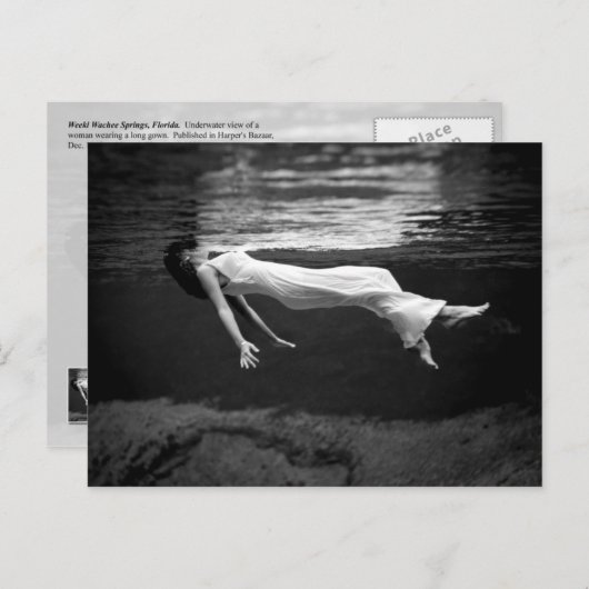 水中ファッションの写真撮影 ポストカード (正面/裏面)