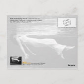 水中ファッションの写真撮影 ポストカード (裏面)