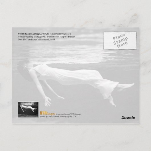 水中ファッションの写真撮影 ポストカード (裏面)