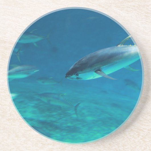 水中マグロ コースター (正面)