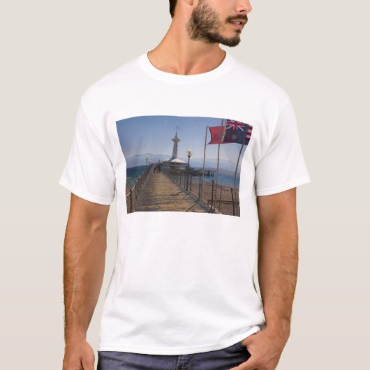 水中マリンパーク、展望塔 Tシャツ (正面)
