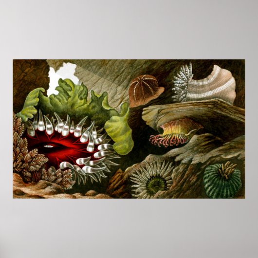 水中ライフ3/10 ポスター (正面)