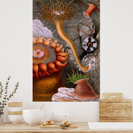 水中ライフ4/10 ポスター (キッチン)