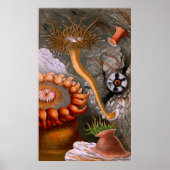 水中ライフ4/10 ポスター (正面)