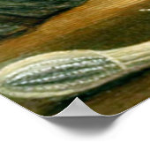 水中ライフ5/10 ポスター (角)