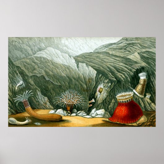 水中ライフ5/10 ポスター (正面)