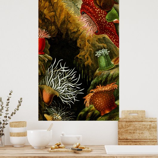 水中ライフ8/10 ポスター (キッチン)