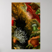 水中ライフ8/10 ポスター (正面)