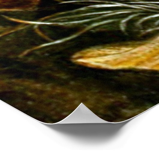 水中ライフ8/10 ポスター (角)