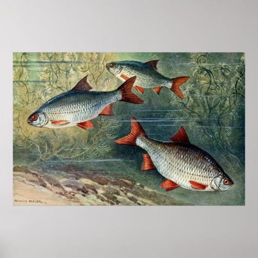 水中ワールドシリーズ4位 ポスター (正面)