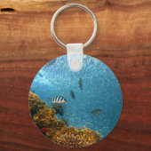 水中世界 キーホルダー (正面)