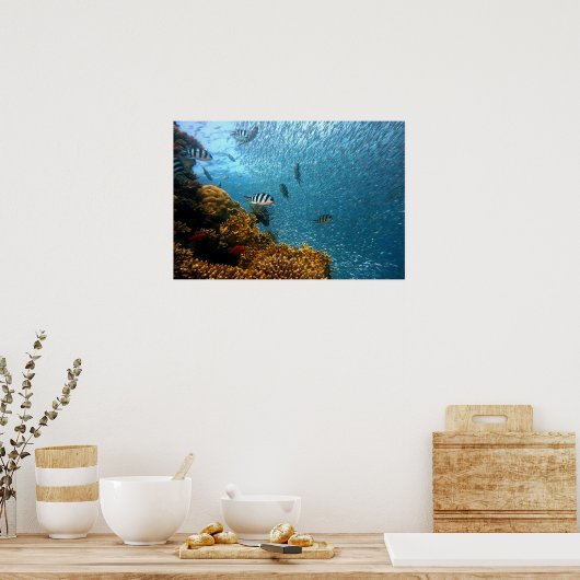 水中世界 ポスター (キッチン)