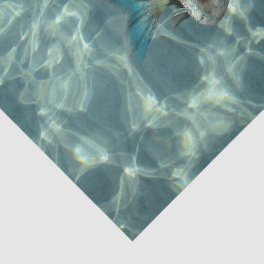 水中人魚 薄葉紙 (詳細)