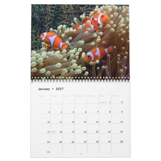 水中写真2015 カレンダー (1月 2027)
