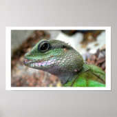 水中国の竜 ポスター (正面)