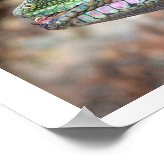 水中国の竜 ポスター (角)