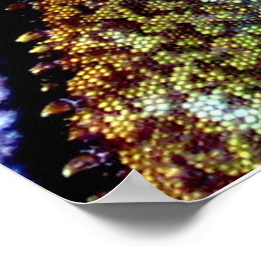 水中国の竜 ポスター (角)