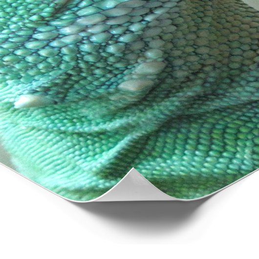 水中国の竜 ポスター (角)