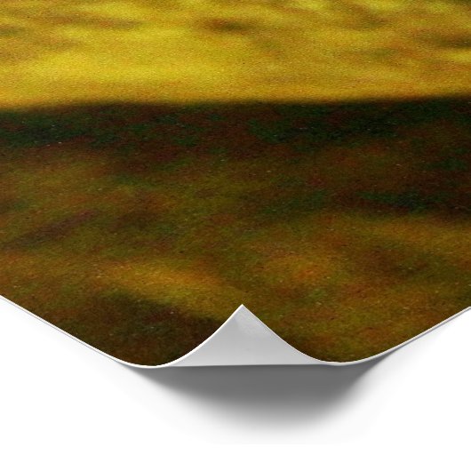 水中国の竜 ポスター (角)