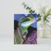 水中国の竜 ポストカード (スタンド正面)