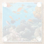 水中場面 ガラスコースター (裏面)