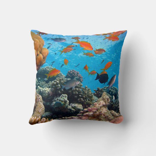 水中場面 クッション (裏面)