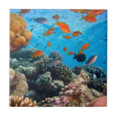 水中場面 タイル (正面)