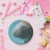 水中大きいマナティー ペーパープレート (パーティー)