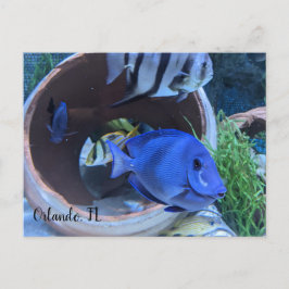 水中挨拶 ポストカード