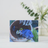 水中挨拶 ポストカード (スタンド正面)