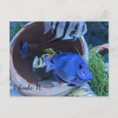 水中挨拶 ポストカード (正面)