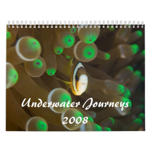 水中旅行2008年 カレンダー