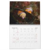 水中旅行2008年 カレンダー (2月 2026)