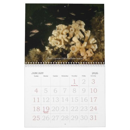 水中旅行2010のカレンダー カレンダー (1月 2026)