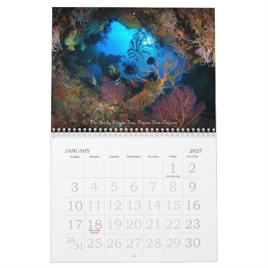 水中旅行2013の海洋生物のカレンダー カレンダー (1月 2027)
