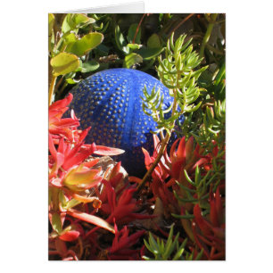 水中植物園芸術空白のカード