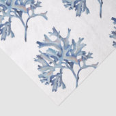 水中水色SeaShellシリーズデザイン32 薄葉紙 (詳細)