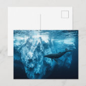 水中氷山とザトウクジラ ポストカード (正面/裏面)