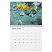 水中海の写真撮影 カレンダー (2月 2027)