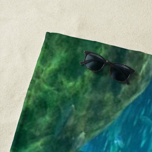 水中海の写真撮影 ビーチタオル (インサイチュ)